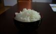 Parfait de riz japonais dans un cuiseur à riz-