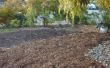 La sécheresse tolérant Front Yard - conversion de pelouse au sol
