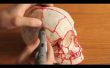 Incroyable impression avec le 3Doodler français : Pinceau LEONARD