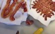 Bacon : utilise pour un monde moderne