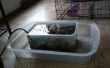 Chien chat recyclage bol d’eau