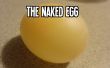 Le œuf nue : Faire un œuf ordinaire bancale, plein d’entrain et spongieux à l’aide de la méthode scientifique ! 