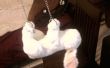 Blanc lapin sac à main - accessoires sombre Costume Alice