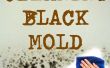 Nettoyage de salle de bain Mold(black Mold)