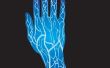 Biometria de las venas de la mano. Raspberry Pi + LCD I2C