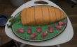 « Gâteau à la carotte » pour le parti de lapin
