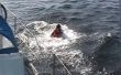 Sauvetage d’une personne tombée par-dessus bord d’un bateau