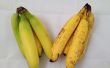 Conserver les bananes fraîches plus longtemps (tranches, trop!) 