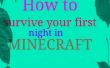 Comment survivre à votre première nuit dans Minecraft