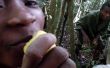 Remède Jungle malgache : Citron polyvalent