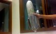 Comment construire Bottle Rocket w / Tennis ballon Parachute
