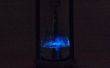 La fontaine lumineuse : un sablier bioluminescentes