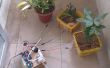 Arduino automatique d’arrosage système pour plantes arroseur