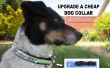 Upgrade A Dog Collar
