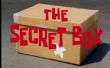 Faire Secret Box de Patrick