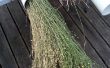 Tuyaux en PVC pour le rouissage plantes de lin