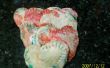 Rafraîchissez vos compétences en Italien : raviolis de crevettes Tricolori