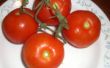 Obtenir un plus grand, plus doux, plus tôt culture de tomates
