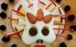 Crânes de fromage sans sucre pour Dias de Los Muertos (jour des morts)