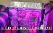 LED Grow lumière pour les plantes d’intérieur pour 30 $! Facile ! 