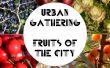 Rassemblement urbain - fruits de la ville