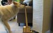 Interrupteur de la lampe DIY pour chiens