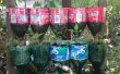 Jardin d’herbes aromatiques de bouteille – un projet de recyclage. 
