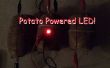 Pomme de terre sous tension LED ! 