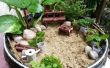BRICOLAGE jardin Miniature