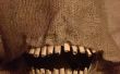 Comment faire un masque effrayant de l’épouvantail (avec meubles mâchoire)