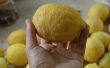 Simple savoureuse Lemon Curd