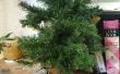 Arbre artificiel réaffecté : Guirlande de Noël et Mini arbre