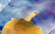 « Le Petit Prince » foulard en soie peinte