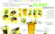 The Plant Doctor basic