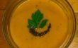 Délicieuse soupe de Kuri « Citrouille » / rouge