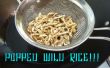 Maison le savoureux maïs riz sauvage