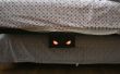 Monstre sous le lit