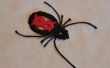 Tatted Black Widow Spider pendentif