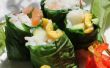 Sushi Seaweedless bio - croître vos propres sushis encapsule des feuilles comestibles, facile à cultiver. 