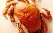 Tueur de Dip crabe