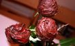 Comestibles Roses enrobées de chocolat
