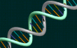 La Science de l’ADN ! 