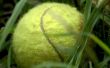 Super Tennis Ball mortier