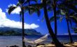 Vacances à Hawaii