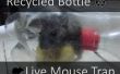 Recyclé bouteille piège à souris vivante