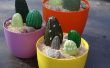 Peint galets cactus pour terrasse ou un patio