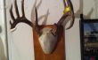 Maison Deer Antlers monter