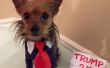Donald Trump chien Costume