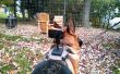 Dos de chien monté harnais de cuir caméra