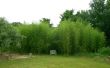 Clôtures en bambou
